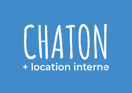 Chaton (3-4 ans) + location interne